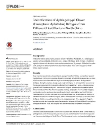 Identification of Aphis Gossypii Glover (Hemiptera: Aphididae) Biotypes from Different Host Plants in North China