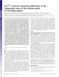 P21 Restricts Neuronal Proliferation in the Subgranular Zone of the Dentate Gyrus of the Hippocampus
