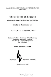 The Sections of Begonia