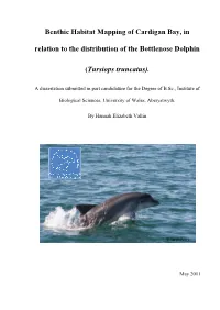 Benthic Habitat Mapping of Cardigan Bay, in Relation to the Distribution of the Bottlenose Dolphin