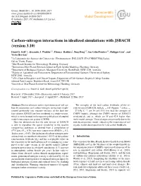 Carbon–Nitrogen Interactions in Idealized Simulations with JSBACH (Version 3.10)
