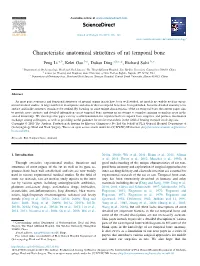 Characteristic Anatomical Structures of Rat Temporal Bone