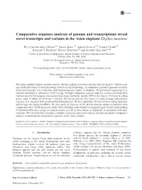 Comparative Sequence Analyses of Genome and Transcriptome Reveal Novel Transcripts and Variants in the Asian Elephant Elephas Maximus