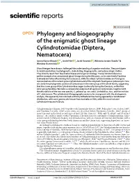 Phylogeny and Biogeography of the Enigmatic Ghost Lineage