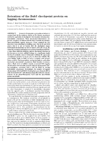 Retention of the Bub3 Checkpoint Protein on Lagging Chromosomes