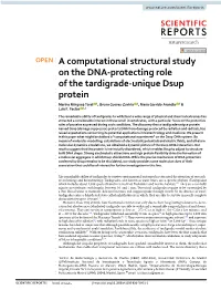 A Computational Structural Study on the DNA-Protecting Role of The