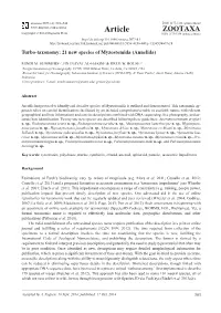Turbo-Taxonomy: 21 New Species of Myzostomida (Annelida)