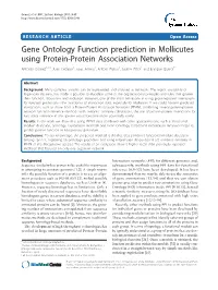 Gene Ontology Function Prediction in Mollicutes Using Protein-Protein