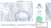 Gluteal Region and Back of Thigh Doctors Notes Notes/Extra Explanation Editing File Objectives