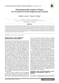 Morphological Description of Plants: New Perspectives in Development and Evolution