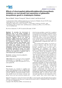 Effects of Shoot-Applied Gibberellin/Gibberellin-Biosynthesis Inhibitors on Root Growth and Expression of Gibberellin Biosynthesis Genes in Arabidopsis Thaliana