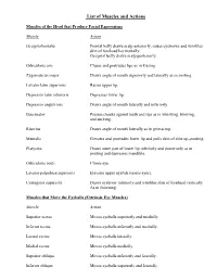 List of Muscles and Actions