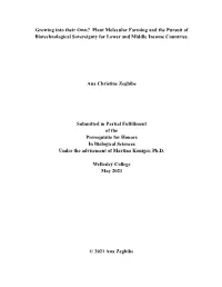 Copy of Growing Into Their
