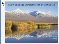 Snow Leopard Conservation in Mongolia