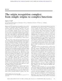The Origin Recognition Complex: from Simple Origins to Complex Functions