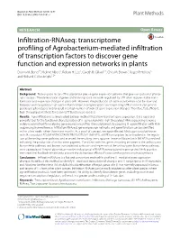 Transcriptome Profiling of Agrobacterium‑Mediated Infiltration of Transcription Factors to Discover Gene Function and Expression Networks in Plants Donna M