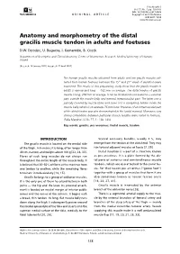 Download PDF File