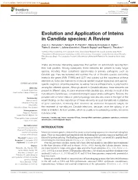 Evolution and Application of Inteins in Candida Species: a Review