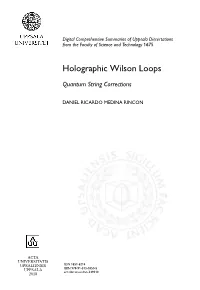 Holographic Wilson Loops