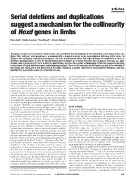Serial Deletions and Duplications Suggest a Mechanism for the Collinearity of Hoxd Genes in Limbs