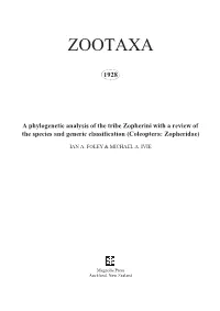 Zootaxa, a Phylogenetic Analysis of the Tribe Zopherini with A
