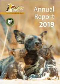 2019 ZCP Annual Report