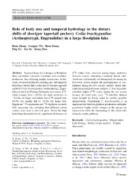 Role of Body Size and Temporal Hydrology in The