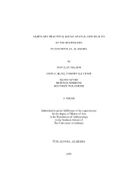 Mortuary Practices, Social Status, and Wealth at The