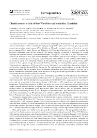 Classification of a Clade of New World Doves (Columbidae: Zenaidini)