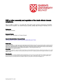 DED Or Alive: Assembly and Regulation of the Death Effector Domain Complexes