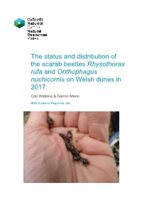 The Status and Distribution of the Scarab Beetles Rhysothorax Rufa and Onthophagus Nuchicornis on Welsh Dunes In