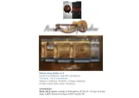Aviram Harp Guitar (All Updates)
