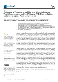 Estimation of Phosphorus and Nitrogen Waste in Rainbow Trout (Oncorhynchus Mykiss, Walbaum, 1792) Diets Including Different Inorganic Phosphorus Sources