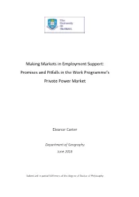 Promises and Pitfalls in the Work Programme's Private Power Market