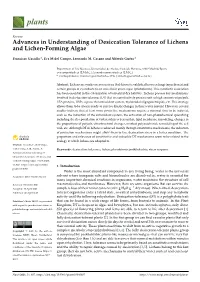 Advances in Understanding of Desiccation Tolerance of Lichens and Lichen-Forming Algae