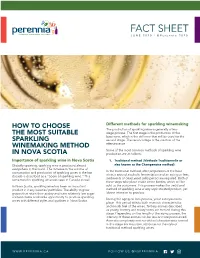 How to Choose the Most Suitable Sparkling Winemaking