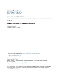 Analyzing ZNF16: an Understudied Gene