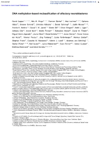DNA Methylation-Based Reclassification of Olfactory Neuroblastoma