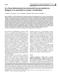 In a Three-Dimensional Reconstructed Human Epidermis Filaggrin-2 Is Essential for Proper Cornification