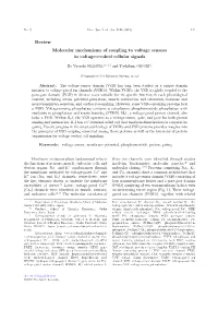 Molecular Mechanisms of Coupling to Voltage Sensors in Voltage-Evoked Cellular Signals