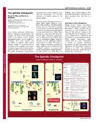 The Spindle Checkpoint