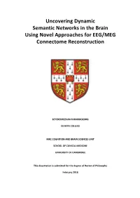 Uncovering Dynamic Semantic Networks in the Brain Using Novel Approaches for EEG/MEG Connectome Reconstruction