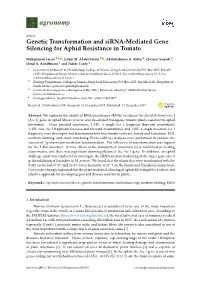 Genetic Transformation and Sirna-Mediated Gene Silencing for Aphid Resistance in Tomato