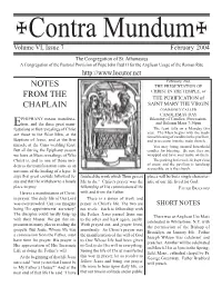 Issue 7. February 2004