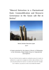“Mineral Extraction in a Plurinational State: Commodification and Resource Governance in the Uyuni Salt Flat in Bolivia”