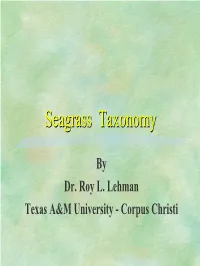 Seagrass Taxonomytaxonomy