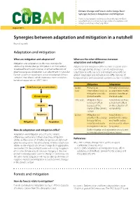Synergies Between Adaptation and Mitigation
