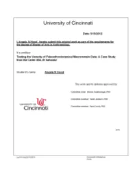 Testing the Veracity of Paleoethnobotanical Macroremain Data: a Case Study from the Cerén Site, El Salvador