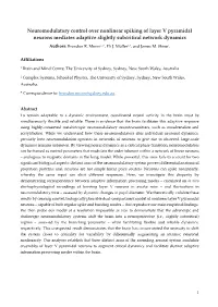Neuromodulatory Control Over Nonlinear Spiking of Layer V Pyramidal Neurons Mediates Adaptive Slightly Subcritical Network Dynamics Authors: Brandon R