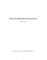 Essays in Orthodox Ecclesiology